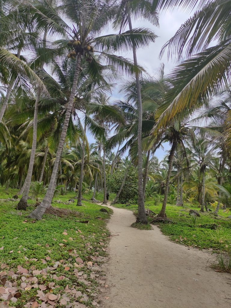 Parque nacional natural Tayrona en Colombia