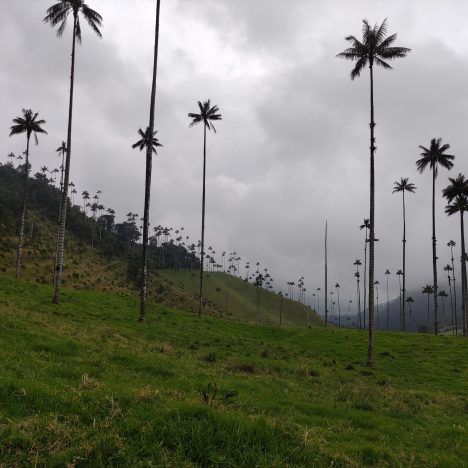 Cómo ir al Parque Nacional Natural Tayrona