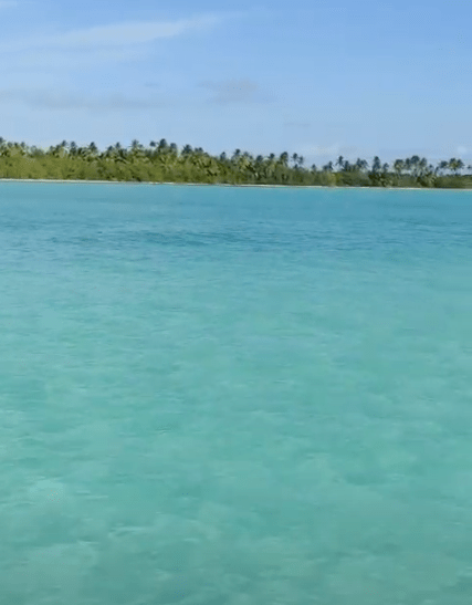 Piscina Natural - Isla Saona