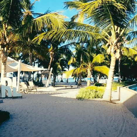 Día en Isla Saona