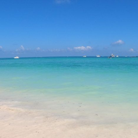 Día en Isla Saona