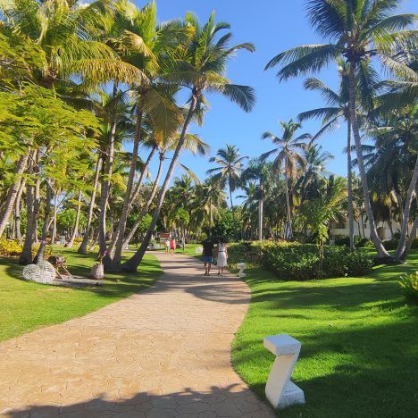 Cómo ir a Playa Bávaro