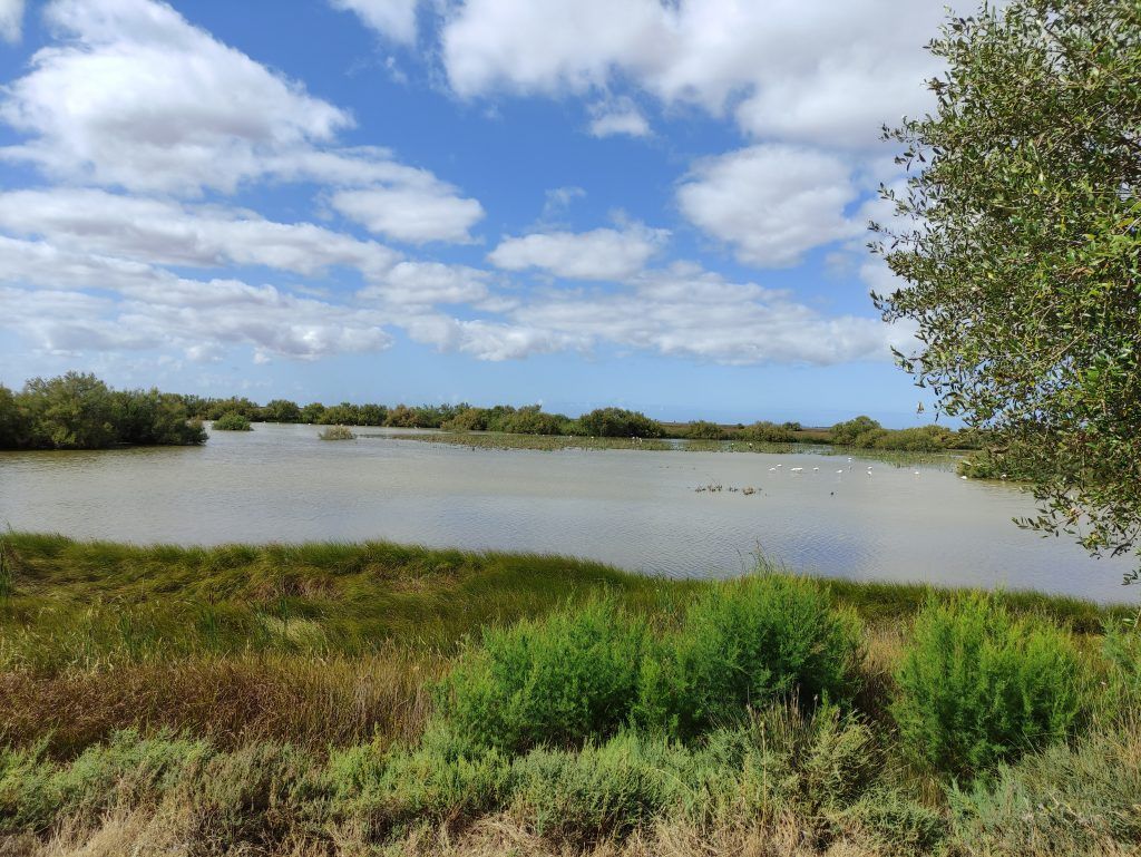 Parque Nacional Doñana