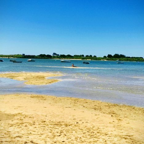 Parque Nacional de Doñana y Marismas de Odiel