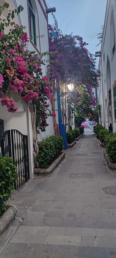 Puerto de Mogán en nuestro día 2 en Gran Canaria