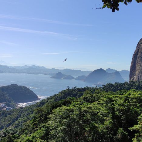 Ruta de 10 días en Brasil