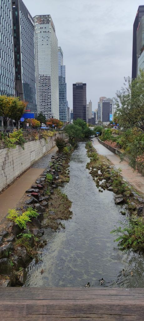 Río en mitad de Seúl - Palacios e historia