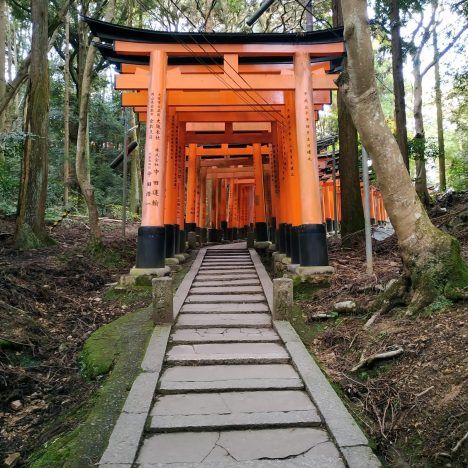 Qué ver en Osaka en 3 días (imprescindibles)