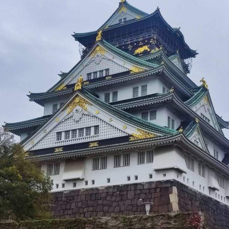 Día en Nara
