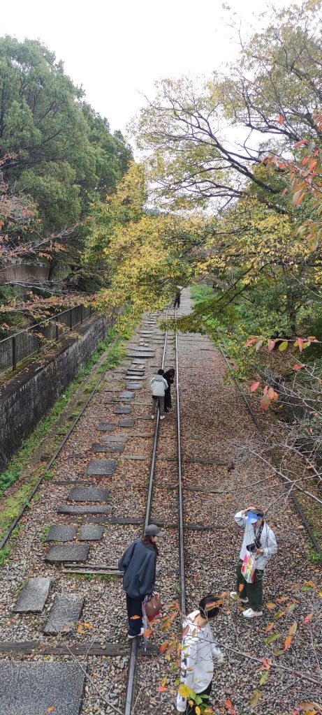 Paseo de la filosofía en Kyoto
