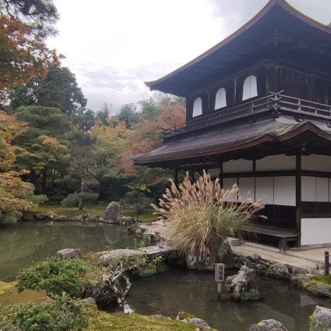 Ruta de 7 días por Japón