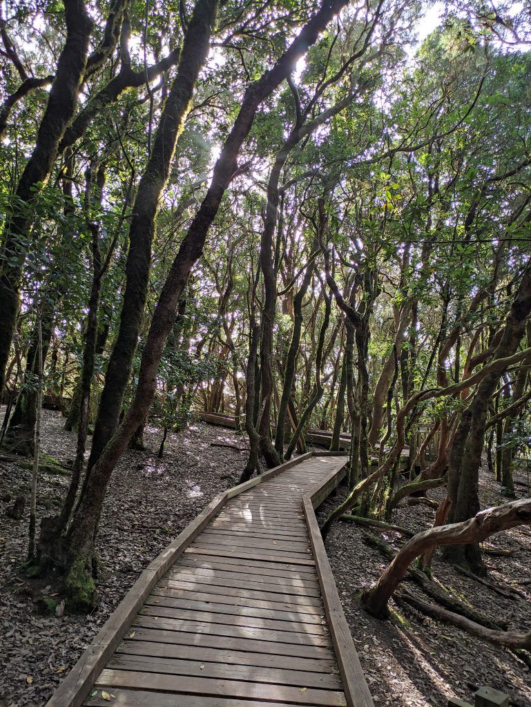 Sendero de los sentidos